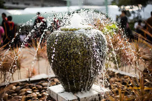 Water features